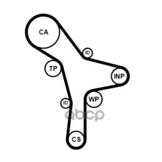 Ремень ГРМ HYUNDAI. KIA SORENTO 3.5 V6 Z=259*32 01> Continental арт. CT1176