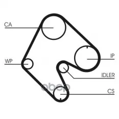ремень ГРМ! 146x240 Opel Kadett/Vectra/Ascona/Astra 1.6D/1.7D 81-98 Continental арт. CT540