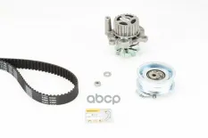 Комплект ГРМ с водяным насосом SEAT: CORDOBA 2.0 02-, IBIZA IV 2.0 02-, IBIZA V Continental арт. CT908WP2