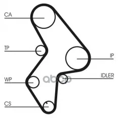 Комплект ремня ГРМ (с помпой) Citroen/Fiat/Peugeot/Rover (CT1061+24-0911+T41138+T42069) Continental арт. CT1061WP3