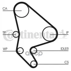 Комплект ремня ГРМ (с помпой) Citroen/Fiat/Lancia/Peugeot 206/306/307/406/806/BERLINGO/C5/DISPATCH/EVASION (22,U6)/EXPERT/JUMPY/PARTNER/SCUDO (220)/SY