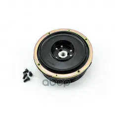 Муфта компрессора кондиционера, TO88031033250S DOMINANT арт. TO88031033250S