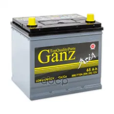 Аккумулятор GANZ ASIA 65 А/ч обратная R+ 232x175x225 EN580 А GANZ арт. GAA650