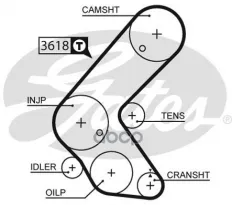 Peмeнь пpивoднoй зyбчaтый Gates арт. 5563XS