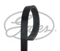 ремень поликлиновой! BMW E36 1.7TDs 94-00 Gates арт. 5PK1885