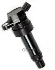 КАТУШКА ЗАЖИГАНИЯ Hyundai-KIA арт. 273012B110