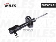 Амортизатор передний GAS R Miles арт. DG21609-01