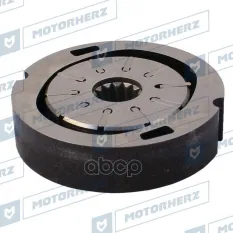 Рабочая пара насоса ГУР Motorherz арт. HPP0039RS