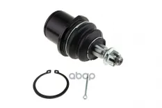 ШАРОВАЯ ОПОРА LEXUS LS460 06-09 /PRZEDNIEGO DOLNEGO/ NTY арт. ZSDTY089