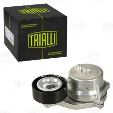 Ролик приводного ремня Trialli арт. CM 5807