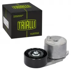 Ролик привод. ремня Trialli арт. CM5863
