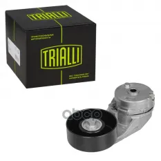 Ролик привод. ремня для а/м Chevrolet Captiva (11-)/Opel Antara (06-) 2.0T/2.4i (с натяж. мех.) (CM Trialli арт. CM0506