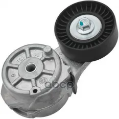 НАТЯЖИТЕЛЬ РЕМНЯ CHRYSLER VOYAGER IV 3.3/3.8 V6 00- Zikmar арт. Z40126R