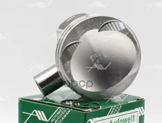 PN-51520 поршень STD палец 23мм AUDI/SKODA/VW 1.8 TFSI 16V BZB/CABA/CDAA... Autowelt арт. PN-51520