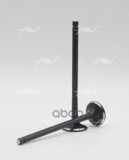 клапан вып MAZDA ZJ 1.4 DOHC 16V 24x5.5x98.8 Autowelt арт. VE31015