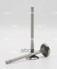 VE-58000 клапан вып VOLVO D5244T 26.2x6x97.8 Autowelt арт. VE-58000