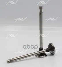VE-40002 клапан вып SSANG YONG D20DTF/D20DTR/D22DTF/D22DTR 24.9х6х99.7 Autowelt арт. VE-40002