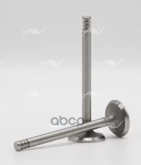 клапан вып VAG AEA/AEE/AEX/ADX/AKV 29x7x95 Autowelt арт. VE51000