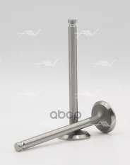 VE-51001 клапан вып VAG AAN/KR/PL 28x7x98.1 Autowelt арт. VE51001