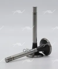 клапан вып VAG DZ/EZ/PH... 33.2x8x90.8 Autowelt арт. VE51010