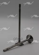 VE-51029 клапан вып VAG CJZA/CYVA 23.5x5x110 Autowelt арт. VE-51029