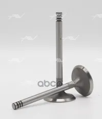 клапан впуск VAG 1Y/AAZ/ABL 36x7x95.5 Autowelt арт. VI51021