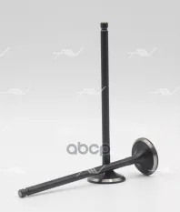 клапан вып NISSAN HR16DE 25.4x5x102.5 Autowelt арт. VE33019