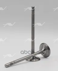 клапан впуск VAG ASB/BKN/BMK 28.6x6x99.3 Autowelt арт. VI51030