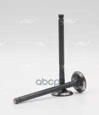 клапан вып TOYOTA 4A-FE/7A-FE 24.5x6x88 Autowelt арт. VE34016