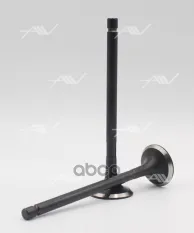 VE-30001 клапан вып ISUZU 4FB1/4FC1/D1 34x8x132.3 Autowelt арт. VE-30001