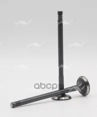 клапан вып FORD FXJA/HWDA... 1.4/1.6 16V 24.1x6x101.4 Autowelt арт. VE54008