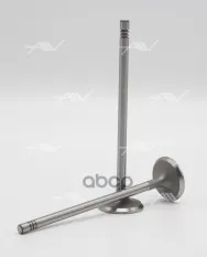 клапан впуск RENAULT G9T/G9U 30.7X6x123.2 Autowelt арт. VI57002