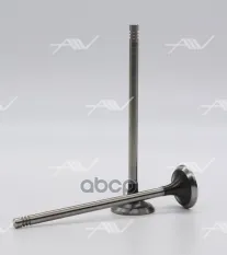 VE-57002 клапан вып RENAULT G9T/G9U 29.5x6x123 Autowelt арт. VE-57002