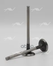 VE-57004 клапан вып RENAULT K9K 29x6x100.7 Autowelt арт. VE-57004