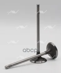 клапан впуск BMW/CITROEN/PEUGEOT 5FS/EP6C/N12B16/N14B16 30x5x97 Autowelt арт. VI57010