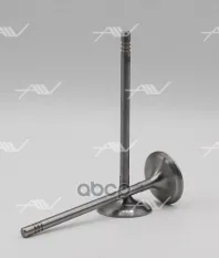 VI-57011 клапан впуск BMW/CITROEN/PEUGEOT 5FU/N13B16A/N18B16A 29.7x5x95.1 Autowelt арт. VI-57011