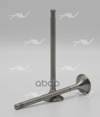 VE-57007 клапан вып CITROEN/FORD/PEUGEOT 4HW/TXBA/DW12TED4 24.9x6x105 Autowelt арт. VE-57007