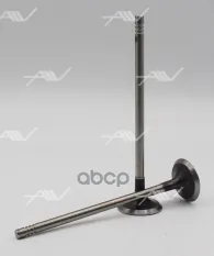 клапан вып BMW/CITROEN/PEUGEOT EP6DT/N12B16/N14B16 26.3x5x110.3 Autowelt арт. VE57008