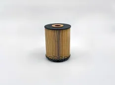 Фильтр масляный VW Touareg I 4.2 V8 03-10 BIG FILTER арт. GB1223