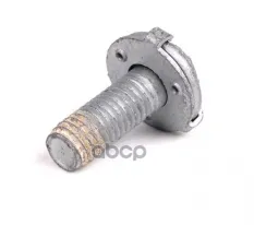 Винт Torx BMW 51717063831 BMW арт. 51717063831