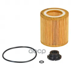 Фильтр для а/м BMW 3 F30(11-)/5 F10(09-)/X1 E84(11-) 2.0T (масл.картридж) (CRLR816ZK) Carville Racing арт. crlr816zk