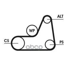 Ремень ручейковый CONTITECH elast FORD/MAZDA 1,25/1,4/1,6 98- Continental арт. 6PK1042ELAST