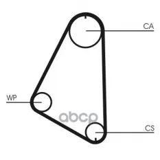 Ремень ГРМ [101 зуб.,17mm] Continental арт. CT526