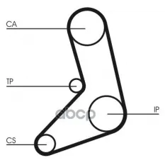 Ремень ГРМ Continental арт. CT542