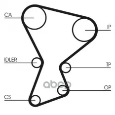 MD102250 Ремень ГРМ Continental арт. CT545