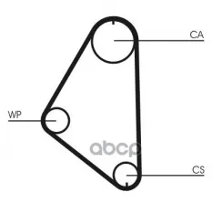 Ремень ГРМ CONTITECH CT558 (0636562) Continental арт. CT558