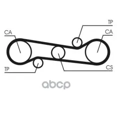 Ремень ГРМ Continental арт. CT581