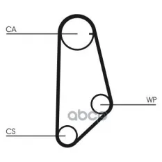 Ремень ГРМ [113 зуб.,19mm] Continental арт. CT635