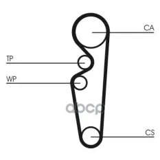 Ремень ГРМ CONTITECH CT729 (4801007081) Continental арт. CT729