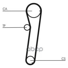 Ремень ГРМ CONTITECH CT739 (243120Z000) Continental арт. CT739